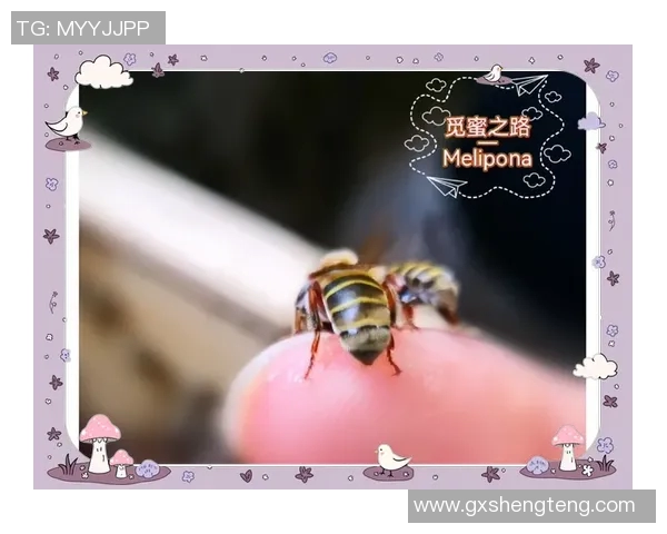 揭开足球球星背包秘密探索赛场内外不为人知的精彩故事