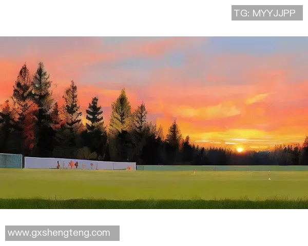 足球巨星风云录：从绿茵场到全球偶像的成长与挑战