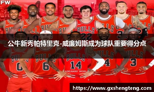 bsports必一体育官方网站